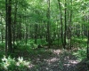 Lot 2 Gladesville Road, Morgantown, West Virginia 26508, 0 , 0 ,0,Lots/land,For Sale,Gladesville,0,10165742 Lot 2 Gladesville Road, Morgantown, West Virginia 26508, 0 , 0 ,0,Lots/land,For Sale,Gladesville,0,10165742