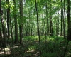Lot 2 Gladesville Road, Morgantown, West Virginia 26508, 0 , 0 ,0,Lots/land,For Sale,Gladesville,0,10165742 Lot 2 Gladesville Road, Morgantown, West Virginia 26508, 0 , 0 ,0,Lots/land,For Sale,Gladesville,0,10165742
