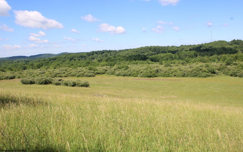 Lot 2 Gladesville Road, Morgantown, West Virginia 26508, 0 , 0 ,0,Lots/land,For Sale,Gladesville,0,10165742 Lot 2 Gladesville Road, Morgantown, West Virginia 26508, 0 , 0 ,0,Lots/land,For Sale,Gladesville,0,10165742