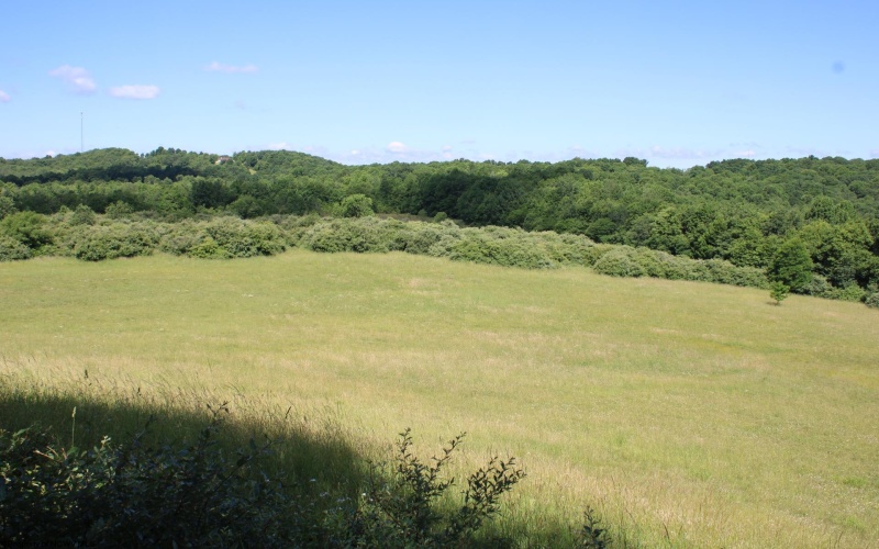 Lot 2 Gladesville Road, Morgantown, West Virginia 26508, 0 , 0 ,0,Lots/land,For Sale,Gladesville,0,10165742 Lot 2 Gladesville Road, Morgantown, West Virginia 26508, 0 , 0 ,0,Lots/land,For Sale,Gladesville,0,10165742