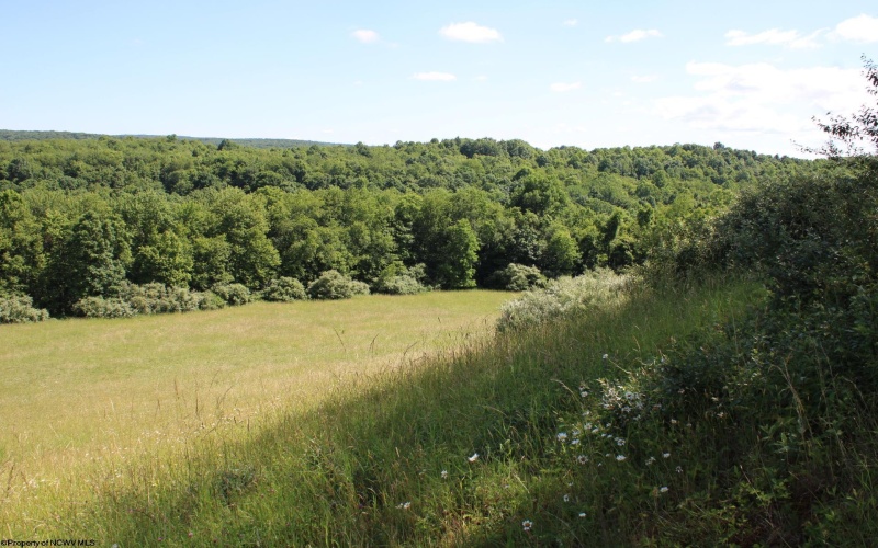 Lot 2 Gladesville Road, Morgantown, West Virginia 26508, 0 , 0 ,0,Lots/land,For Sale,Gladesville,0,10165742 Lot 2 Gladesville Road, Morgantown, West Virginia 26508, 0 , 0 ,0,Lots/land,For Sale,Gladesville,0,10165742
