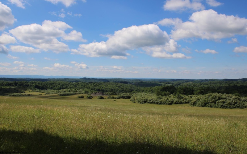 Lot 2 Gladesville Road, Morgantown, West Virginia 26508, 0 , 0 ,0,Lots/land,For Sale,Gladesville,0,10165742 Lot 2 Gladesville Road, Morgantown, West Virginia 26508, 0 , 0 ,0,Lots/land,For Sale,Gladesville,0,10165742