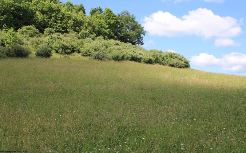 Lot 2 Gladesville Road, Morgantown, West Virginia 26508, 0 , 0 ,0,Lots/land,For Sale,Gladesville,0,10165742 Lot 2 Gladesville Road, Morgantown, West Virginia 26508, 0 , 0 ,0,Lots/land,For Sale,Gladesville,0,10165742