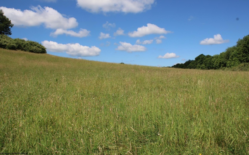 Lot 2 Gladesville Road, Morgantown, West Virginia 26508, 0 , 0 ,0,Lots/land,For Sale,Gladesville,0,10165742 Lot 2 Gladesville Road, Morgantown, West Virginia 26508, 0 , 0 ,0,Lots/land,For Sale,Gladesville,0,10165742