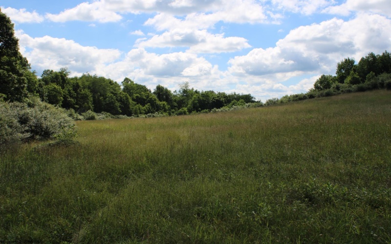 Lot 2 Gladesville Road, Morgantown, West Virginia 26508, 0 , 0 ,0,Lots/land,For Sale,Gladesville,0,10165742 Lot 2 Gladesville Road, Morgantown, West Virginia 26508, 0 , 0 ,0,Lots/land,For Sale,Gladesville,0,10165742