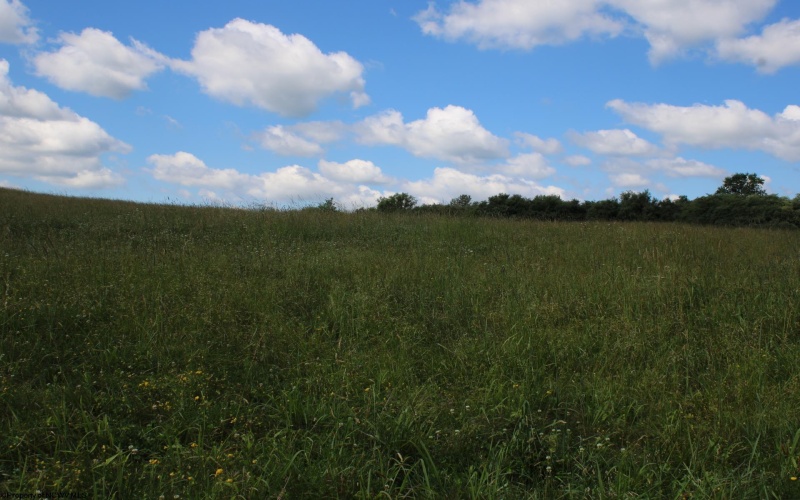 Lot 2 Gladesville Road, Morgantown, West Virginia 26508, 0 , 0 ,0,Lots/land,For Sale,Gladesville,0,10165742 Lot 2 Gladesville Road, Morgantown, West Virginia 26508, 0 , 0 ,0,Lots/land,For Sale,Gladesville,0,10165742