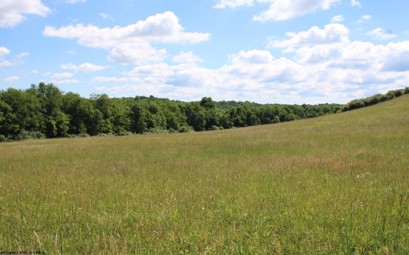Lot 2 Gladesville Road, Morgantown, West Virginia 26508, 0 , 0 ,0,Lots/land,For Sale,Gladesville,0,10165742 Lot 2 Gladesville Road, Morgantown, West Virginia 26508, 0 , 0 ,0,Lots/land,For Sale,Gladesville,0,10165742