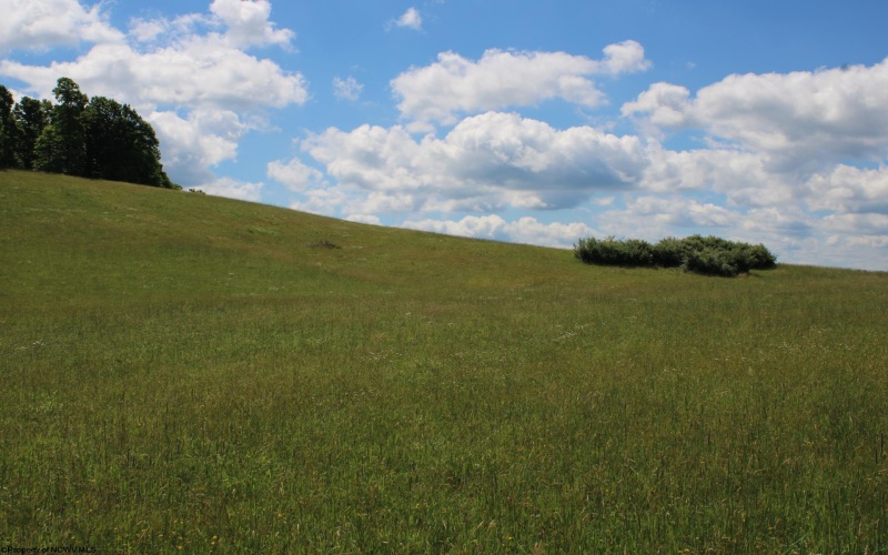 Lot 2 Gladesville Road, Morgantown, West Virginia 26508, 0 , 0 ,0,Lots/land,For Sale,Gladesville,0,10165742 Lot 2 Gladesville Road, Morgantown, West Virginia 26508, 0 , 0 ,0,Lots/land,For Sale,Gladesville,0,10165742