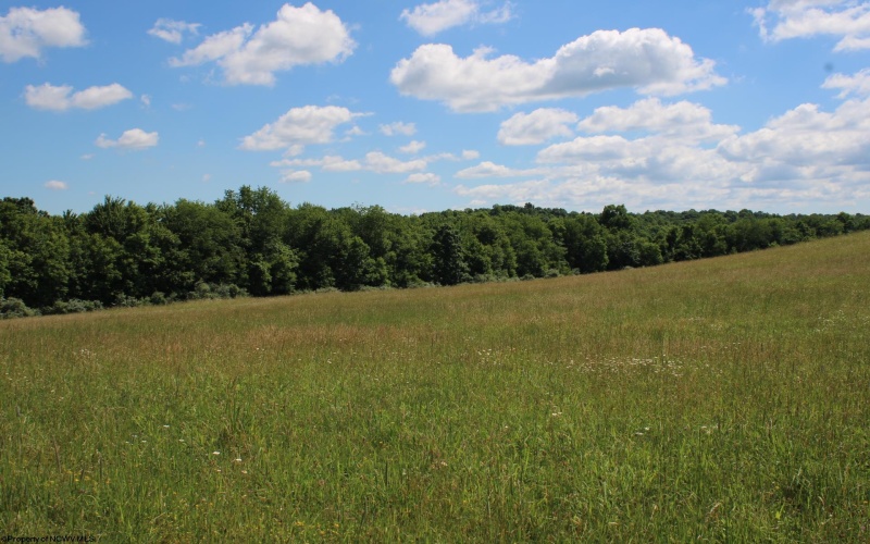 Lot 2 Gladesville Road, Morgantown, West Virginia 26508, 0 , 0 ,0,Lots/land,For Sale,Gladesville,0,10165742 Lot 2 Gladesville Road, Morgantown, West Virginia 26508, 0 , 0 ,0,Lots/land,For Sale,Gladesville,0,10165742