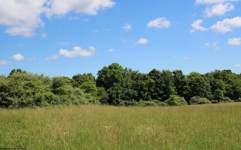 Lot 2 Gladesville Road, Morgantown, West Virginia 26508, 0 , 0 ,0,Lots/land,For Sale,Gladesville,0,10165742 Lot 2 Gladesville Road, Morgantown, West Virginia 26508, 0 , 0 ,0,Lots/land,For Sale,Gladesville,0,10165742