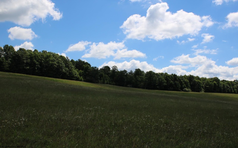 Lot 2 Gladesville Road, Morgantown, West Virginia 26508, 0 , 0 ,0,Lots/land,For Sale,Gladesville,0,10165742 Lot 2 Gladesville Road, Morgantown, West Virginia 26508, 0 , 0 ,0,Lots/land,For Sale,Gladesville,0,10165742