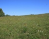 Lot 2 Gladesville Road, Morgantown, West Virginia 26508, 0 , 0 ,0,Lots/land,For Sale,Gladesville,0,10165742 Lot 2 Gladesville Road, Morgantown, West Virginia 26508, 0 , 0 ,0,Lots/land,For Sale,Gladesville,0,10165742