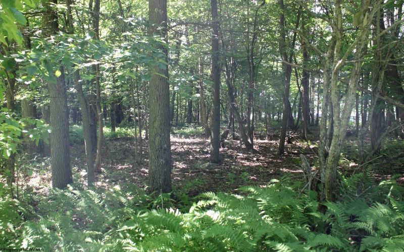 Lot 2 Gladesville Road, Morgantown, West Virginia 26508, 0 , 0 ,0,Lots/land,For Sale,Gladesville,0,10165742 Lot 2 Gladesville Road, Morgantown, West Virginia 26508, 0 , 0 ,0,Lots/land,For Sale,Gladesville,0,10165742