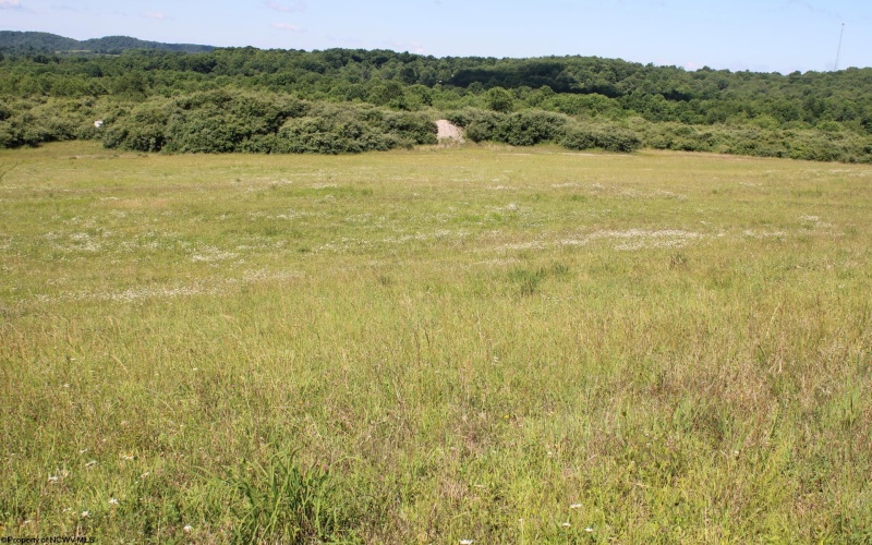 Lot 2 Gladesville Road, Morgantown, West Virginia 26508, 0 , 0 ,0,Lots/land,For Sale,Gladesville,0,10165742 Lot 2 Gladesville Road, Morgantown, West Virginia 26508, 0 , 0 ,0,Lots/land,For Sale,Gladesville,0,10165742