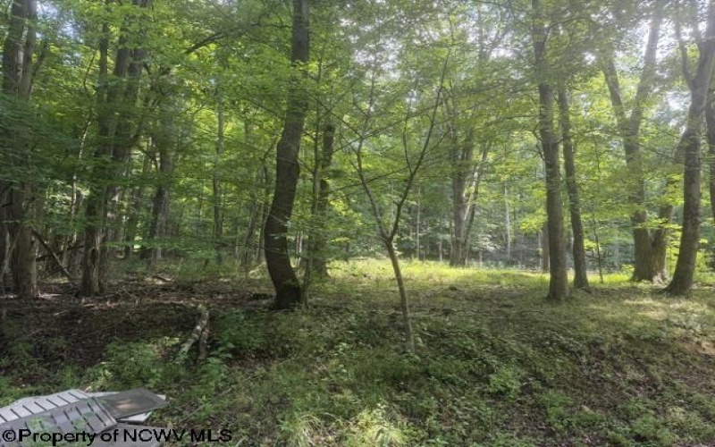 148 Hillcrest Drive, Philippi, West Virginia 26416, 3 Bedrooms Bedrooms, 7 Rooms Rooms,1 BathroomBathrooms,Single Family Detached,For Sale,Hillcrest,0,10165747 148 Hillcrest Drive, Philippi, West Virginia 26416, 3 Bedrooms Bedrooms, 7 Rooms Rooms,1 BathroomBathrooms,Single Family Detached,For Sale,Hillcrest,0,10165747
