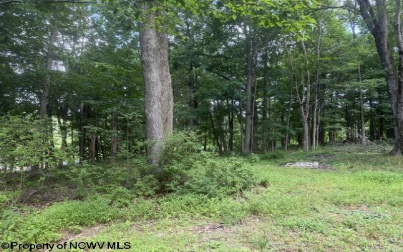148 Hillcrest Drive, Philippi, West Virginia 26416, 3 Bedrooms Bedrooms, 7 Rooms Rooms,1 BathroomBathrooms,Single Family Detached,For Sale,Hillcrest,0,10165747 148 Hillcrest Drive, Philippi, West Virginia 26416, 3 Bedrooms Bedrooms, 7 Rooms Rooms,1 BathroomBathrooms,Single Family Detached,For Sale,Hillcrest,0,10165747