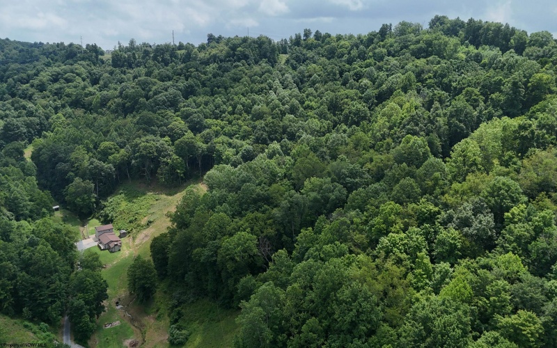 130 LC Lane, West Union, West Virginia 26456, 4 Bedrooms Bedrooms, 8 Rooms Rooms,2 BathroomsBathrooms,Single Family Detached,For Sale,LC,0,10165753