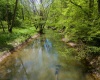 Lot 1 Libbylu Lane, Buckhannon, West Virginia 26201, 0 , 0 ,0,Lots/land,For Sale,Libbylu,0,10164910