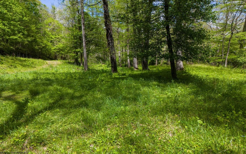 Lot 1 Libbylu Lane, Buckhannon, West Virginia 26201, 0 , 0 ,0,Lots/land,For Sale,Libbylu,0,10164910
