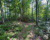 0 Laurel Run Road, Montrose, West Virginia 26283, 0 , 0 ,0,Lots/land,For Sale,Laurel Run,0,10165790 0 Laurel Run Road, Montrose, West Virginia 26283, 0 , 0 ,0,Lots/land,For Sale,Laurel Run,0,10165790