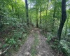 0 Laurel Run Road, Montrose, West Virginia 26283, 0 , 0 ,0,Lots/land,For Sale,Laurel Run,0,10165790 0 Laurel Run Road, Montrose, West Virginia 26283, 0 , 0 ,0,Lots/land,For Sale,Laurel Run,0,10165790