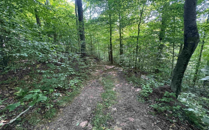 0 Laurel Run Road, Montrose, West Virginia 26283, 0 , 0 ,0,Lots/land,For Sale,Laurel Run,0,10165790 0 Laurel Run Road, Montrose, West Virginia 26283, 0 , 0 ,0,Lots/land,For Sale,Laurel Run,0,10165790