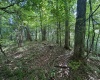0 Laurel Run Road, Montrose, West Virginia 26283, 0 , 0 ,0,Lots/land,For Sale,Laurel Run,0,10165790 0 Laurel Run Road, Montrose, West Virginia 26283, 0 , 0 ,0,Lots/land,For Sale,Laurel Run,0,10165790