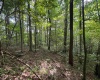 0 Laurel Run Road, Montrose, West Virginia 26283, 0 , 0 ,0,Lots/land,For Sale,Laurel Run,0,10165790 0 Laurel Run Road, Montrose, West Virginia 26283, 0 , 0 ,0,Lots/land,For Sale,Laurel Run,0,10165790