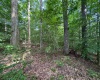 0 Laurel Run Road, Montrose, West Virginia 26283, 0 , 0 ,0,Lots/land,For Sale,Laurel Run,0,10165790 0 Laurel Run Road, Montrose, West Virginia 26283, 0 , 0 ,0,Lots/land,For Sale,Laurel Run,0,10165790