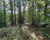 0 Laurel Run Road, Montrose, West Virginia 26283, 0 , 0 ,0,Lots/land,For Sale,Laurel Run,0,10165790 0 Laurel Run Road, Montrose, West Virginia 26283, 0 , 0 ,0,Lots/land,For Sale,Laurel Run,0,10165790