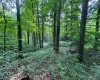 0 Laurel Run Road, Montrose, West Virginia 26283, 0 , 0 ,0,Lots/land,For Sale,Laurel Run,0,10165790 0 Laurel Run Road, Montrose, West Virginia 26283, 0 , 0 ,0,Lots/land,For Sale,Laurel Run,0,10165790