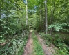 0 Laurel Run Road, Montrose, West Virginia 26283, 0 , 0 ,0,Lots/land,For Sale,Laurel Run,0,10165790 0 Laurel Run Road, Montrose, West Virginia 26283, 0 , 0 ,0,Lots/land,For Sale,Laurel Run,0,10165790