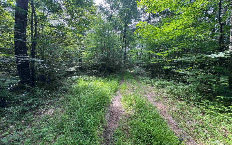 0 Laurel Run Road, Montrose, West Virginia 26283, 0 , 0 ,0,Lots/land,For Sale,Laurel Run,0,10165790 0 Laurel Run Road, Montrose, West Virginia 26283, 0 , 0 ,0,Lots/land,For Sale,Laurel Run,0,10165790