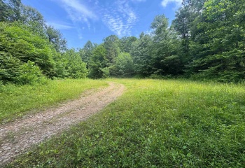0 Laurel Run Road, Montrose, West Virginia 26283, 0 , 0 ,0,Lots/land,For Sale,Laurel Run,0,10165790