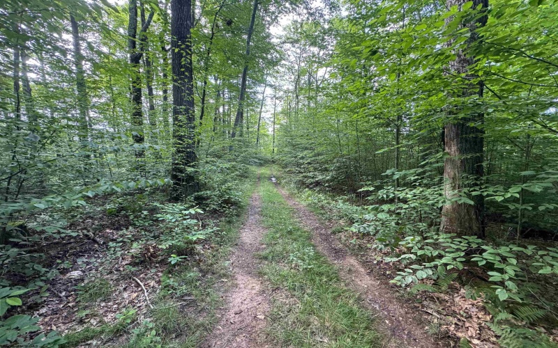 0 Laurel Run Road, Montrose, West Virginia 26283, 0 , 0 ,0,Lots/land,For Sale,Laurel Run,0,10165790 0 Laurel Run Road, Montrose, West Virginia 26283, 0 , 0 ,0,Lots/land,For Sale,Laurel Run,0,10165790