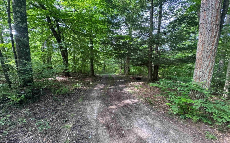 0 Laurel Run Road, Montrose, West Virginia 26283, 0 , 0 ,0,Lots/land,For Sale,Laurel Run,0,10165790 0 Laurel Run Road, Montrose, West Virginia 26283, 0 , 0 ,0,Lots/land,For Sale,Laurel Run,0,10165790