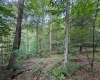 0 Laurel Run Road, Montrose, West Virginia 26283, 0 , 0 ,0,Lots/land,For Sale,Laurel Run,0,10165790 0 Laurel Run Road, Montrose, West Virginia 26283, 0 , 0 ,0,Lots/land,For Sale,Laurel Run,0,10165790
