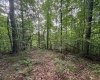 0 Laurel Run Road, Montrose, West Virginia 26283, 0 , 0 ,0,Lots/land,For Sale,Laurel Run,0,10165790 0 Laurel Run Road, Montrose, West Virginia 26283, 0 , 0 ,0,Lots/land,For Sale,Laurel Run,0,10165790