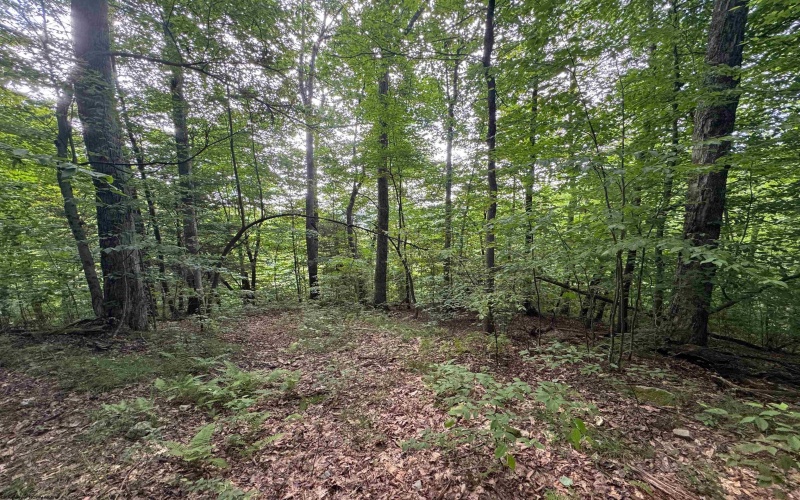0 Laurel Run Road, Montrose, West Virginia 26283, 0 , 0 ,0,Lots/land,For Sale,Laurel Run,0,10165790 0 Laurel Run Road, Montrose, West Virginia 26283, 0 , 0 ,0,Lots/land,For Sale,Laurel Run,0,10165790