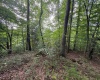 0 Laurel Run Road, Montrose, West Virginia 26283, 0 , 0 ,0,Lots/land,For Sale,Laurel Run,0,10165790 0 Laurel Run Road, Montrose, West Virginia 26283, 0 , 0 ,0,Lots/land,For Sale,Laurel Run,0,10165790