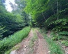 0 Laurel Run Road, Montrose, West Virginia 26283, 0 , 0 ,0,Lots/land,For Sale,Laurel Run,0,10165790 0 Laurel Run Road, Montrose, West Virginia 26283, 0 , 0 ,0,Lots/land,For Sale,Laurel Run,0,10165790