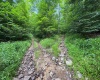 0 Laurel Run Road, Montrose, West Virginia 26283, 0 , 0 ,0,Lots/land,For Sale,Laurel Run,0,10165790 0 Laurel Run Road, Montrose, West Virginia 26283, 0 , 0 ,0,Lots/land,For Sale,Laurel Run,0,10165790