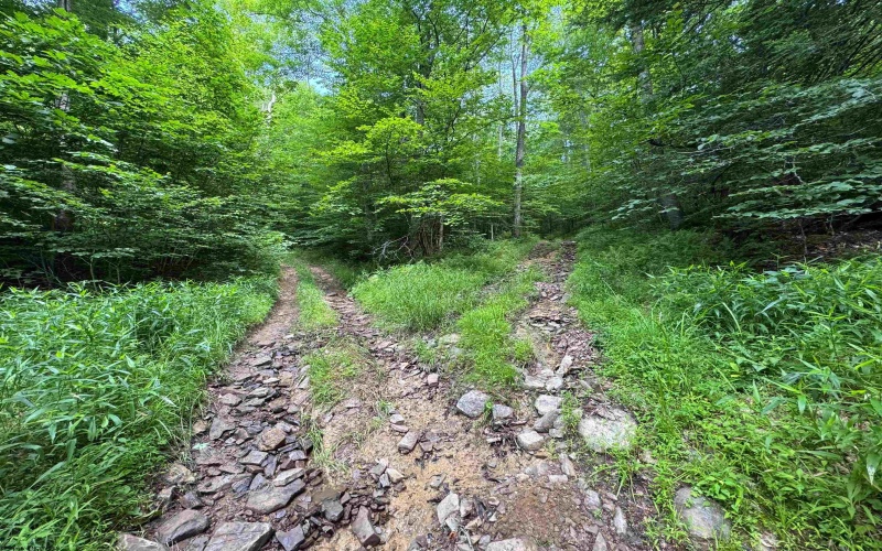 0 Laurel Run Road, Montrose, West Virginia 26283, 0 , 0 ,0,Lots/land,For Sale,Laurel Run,0,10165790 0 Laurel Run Road, Montrose, West Virginia 26283, 0 , 0 ,0,Lots/land,For Sale,Laurel Run,0,10165790