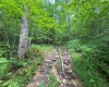 0 Laurel Run Road, Montrose, West Virginia 26283, 0 , 0 ,0,Lots/land,For Sale,Laurel Run,0,10165790 0 Laurel Run Road, Montrose, West Virginia 26283, 0 , 0 ,0,Lots/land,For Sale,Laurel Run,0,10165790