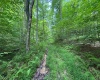 0 Laurel Run Road, Montrose, West Virginia 26283, 0 , 0 ,0,Lots/land,For Sale,Laurel Run,0,10165790 0 Laurel Run Road, Montrose, West Virginia 26283, 0 , 0 ,0,Lots/land,For Sale,Laurel Run,0,10165790