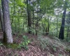 0 Laurel Run Road, Montrose, West Virginia 26283, 0 , 0 ,0,Lots/land,For Sale,Laurel Run,0,10165790 0 Laurel Run Road, Montrose, West Virginia 26283, 0 , 0 ,0,Lots/land,For Sale,Laurel Run,0,10165790