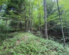 0 Laurel Run Road, Montrose, West Virginia 26283, 0 , 0 ,0,Lots/land,For Sale,Laurel Run,0,10165790 0 Laurel Run Road, Montrose, West Virginia 26283, 0 , 0 ,0,Lots/land,For Sale,Laurel Run,0,10165790