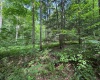 0 Laurel Run Road, Montrose, West Virginia 26283, 0 , 0 ,0,Lots/land,For Sale,Laurel Run,0,10165790 0 Laurel Run Road, Montrose, West Virginia 26283, 0 , 0 ,0,Lots/land,For Sale,Laurel Run,0,10165790