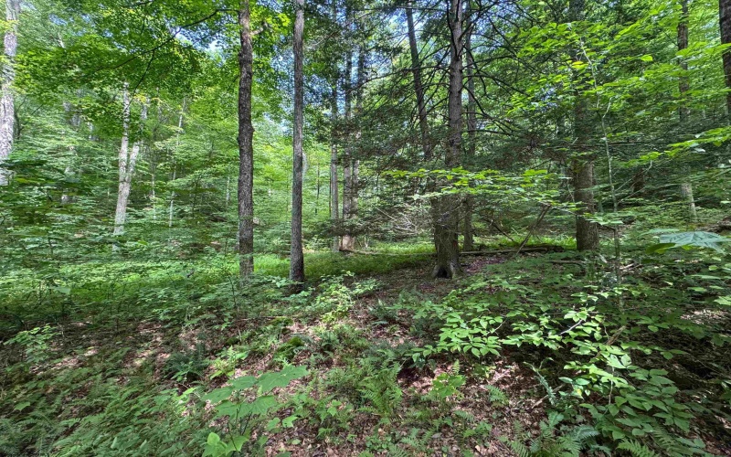 0 Laurel Run Road, Montrose, West Virginia 26283, 0 , 0 ,0,Lots/land,For Sale,Laurel Run,0,10165790 0 Laurel Run Road, Montrose, West Virginia 26283, 0 , 0 ,0,Lots/land,For Sale,Laurel Run,0,10165790
