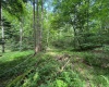 0 Laurel Run Road, Montrose, West Virginia 26283, 0 , 0 ,0,Lots/land,For Sale,Laurel Run,0,10165790 0 Laurel Run Road, Montrose, West Virginia 26283, 0 , 0 ,0,Lots/land,For Sale,Laurel Run,0,10165790